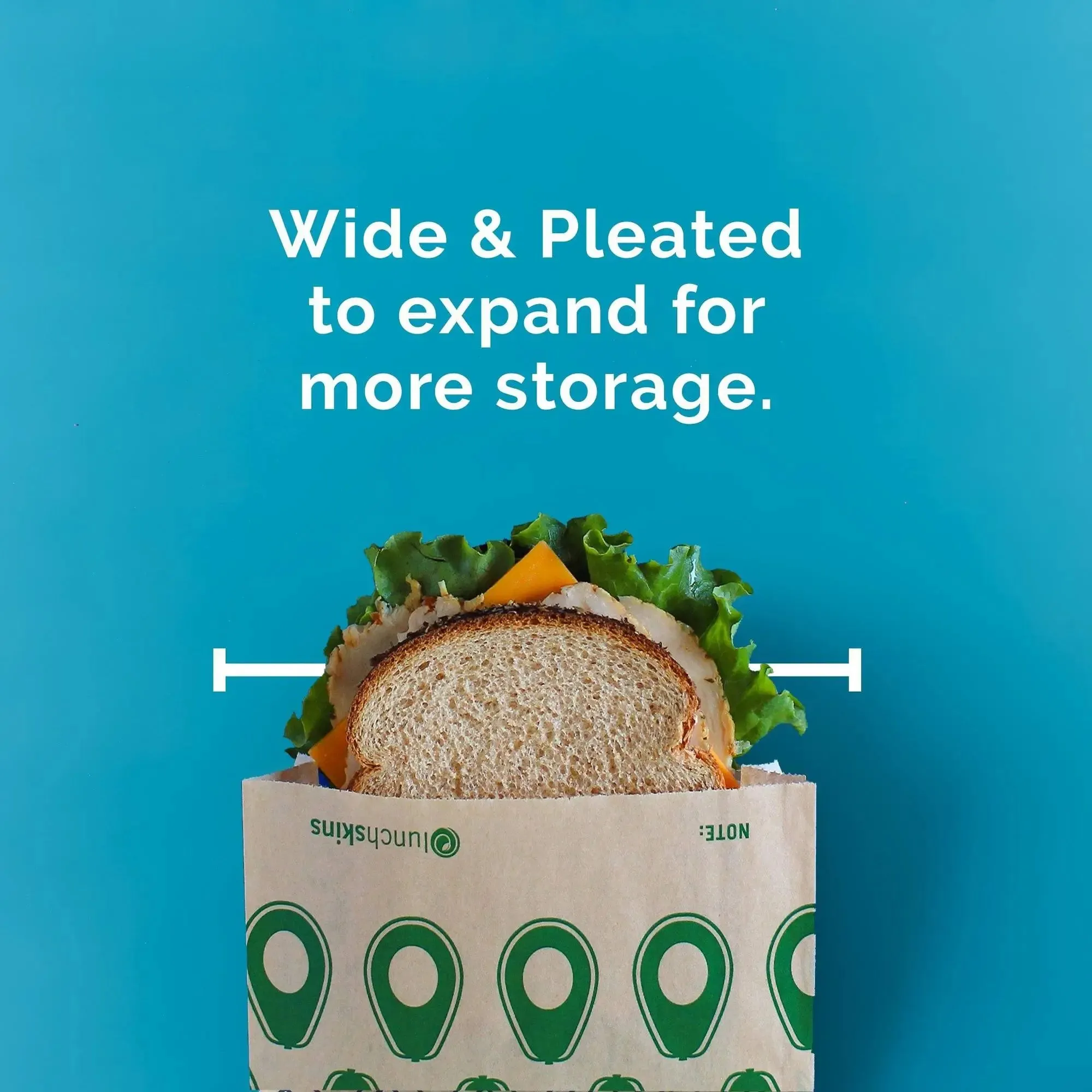 Compostable   Unbleached Kraft Paper Sandwich Bags